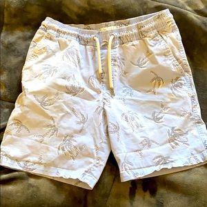 Palm trees comfy beach shorts